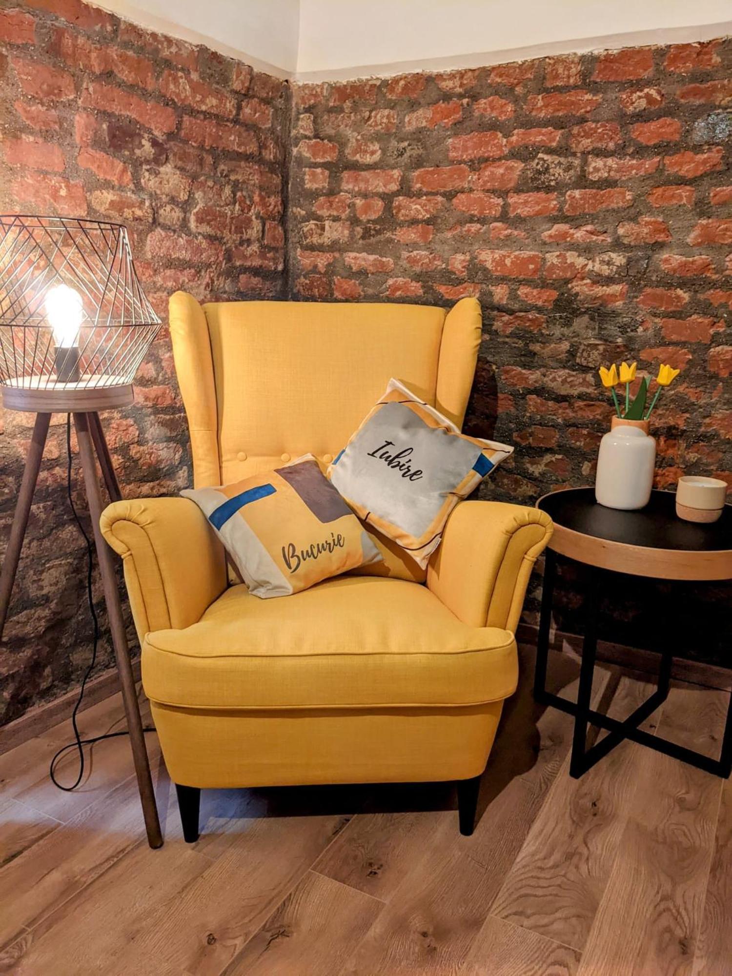 The Industrique Home - 3 Bedroom Apartment ティミショアラ エクステリア 写真